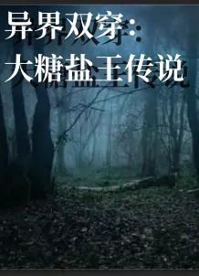 异界双穿：大糖盐王传说免费阅读