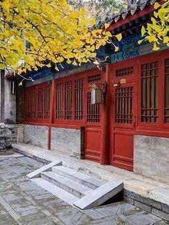 何雨柱在四合院的精彩人生免费阅读
