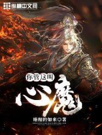 你管这叫心魔无错版